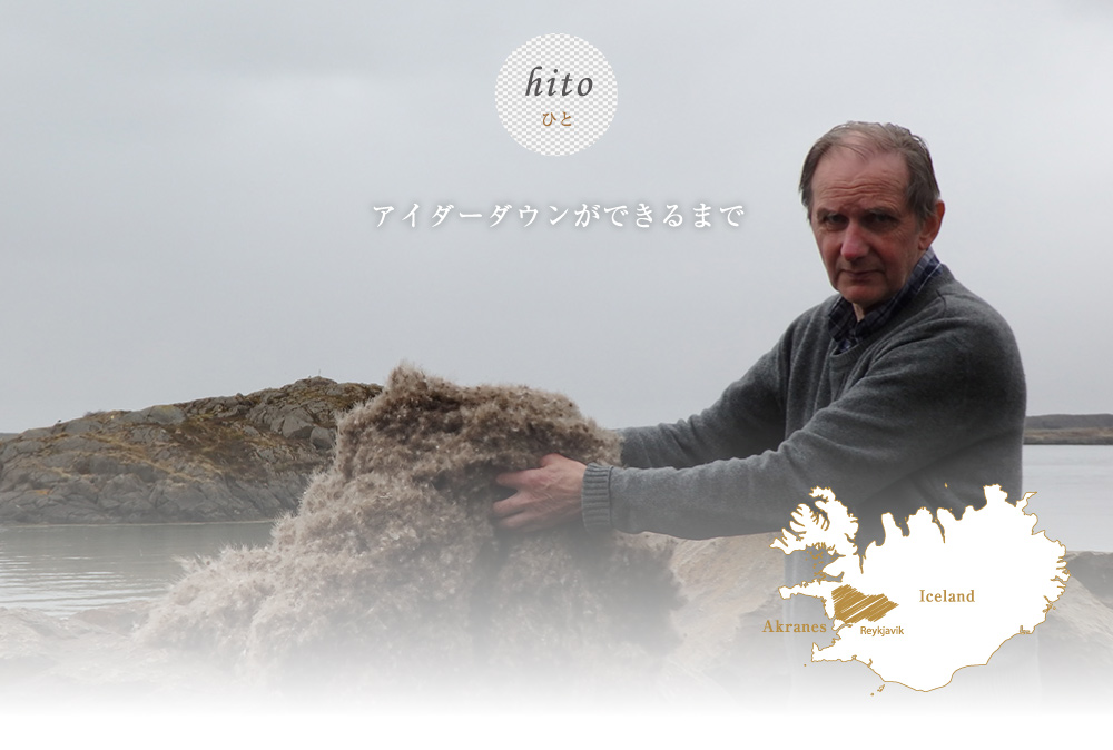 eider_hito