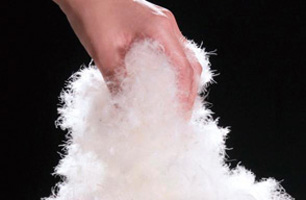 feather1