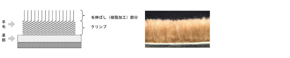 mouton_kouzou