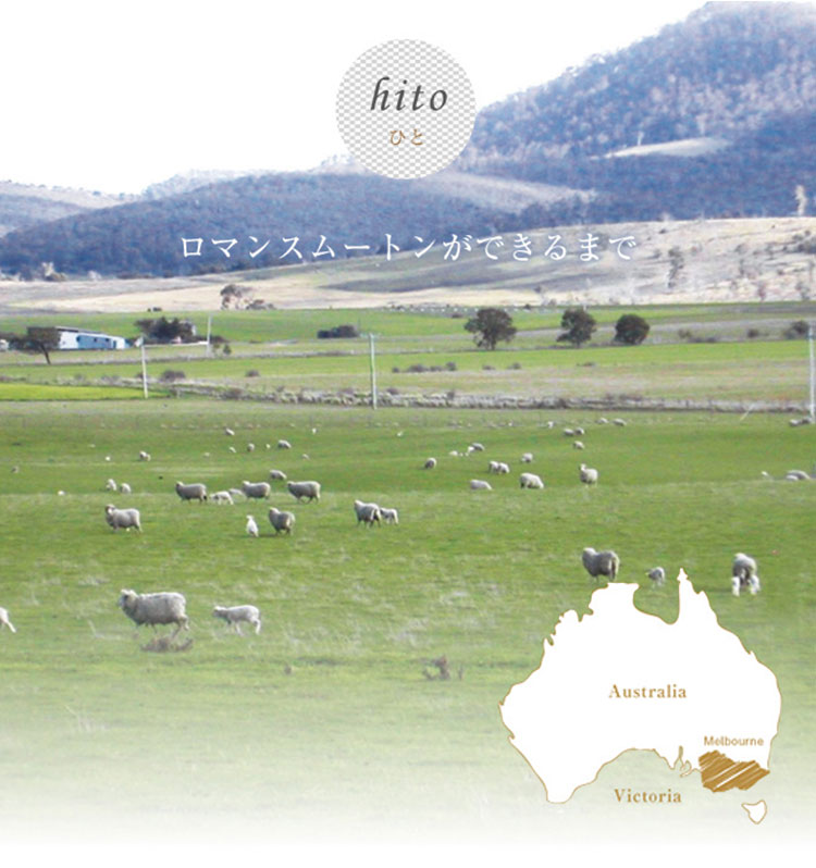 mouton_hito