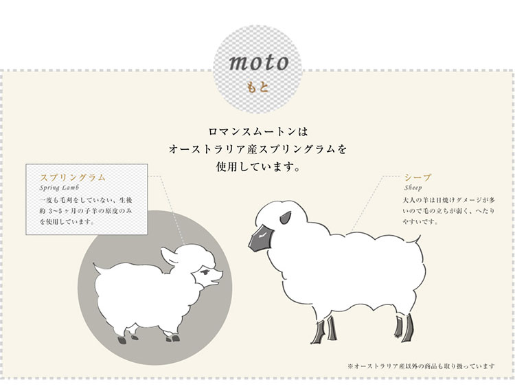 mouton_moto