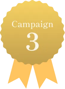 Campaign 3