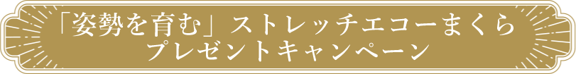 ストレッチエコーまくらプレゼントキャンペーン