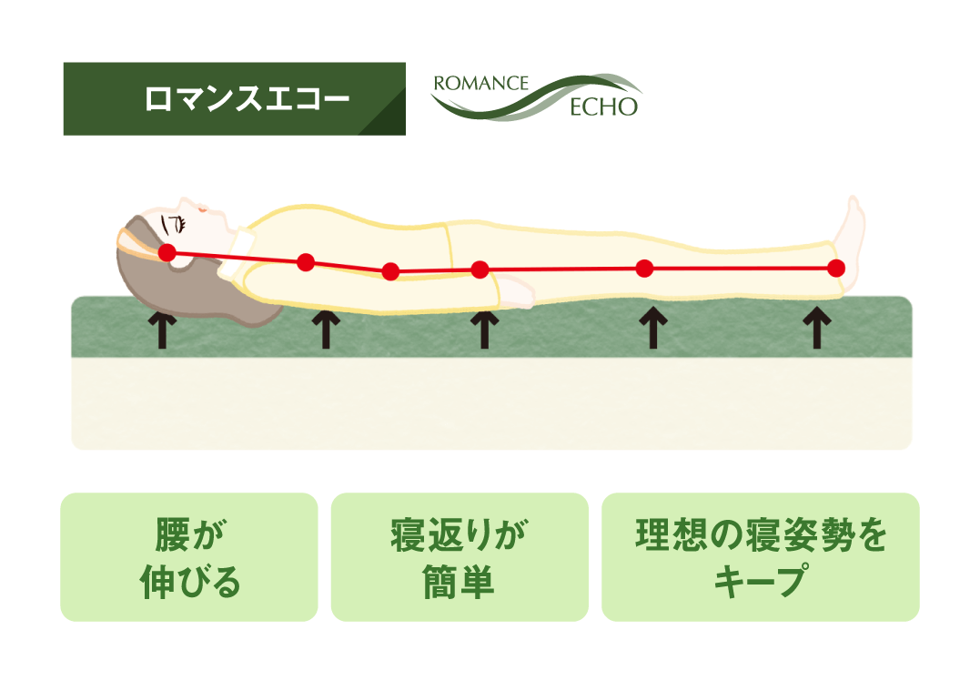 ロマンスエコー