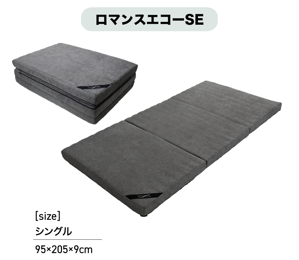 ロマンスエコーSE