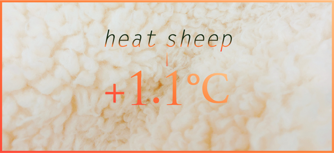 heat sheep +1.1℃