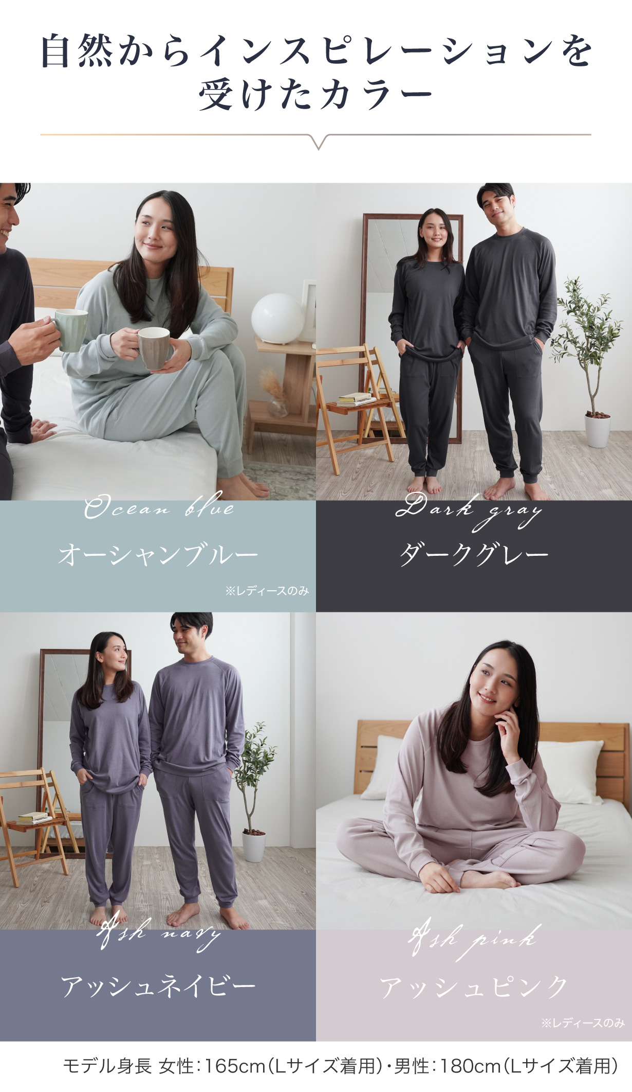カラー紹介