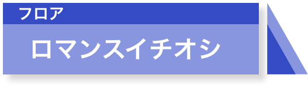 ロマンスイチオシ